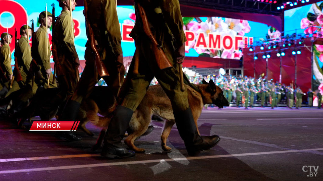 Изменённая программа и новый замысел. Каким будет парад на 9 Мая в этом году?-4