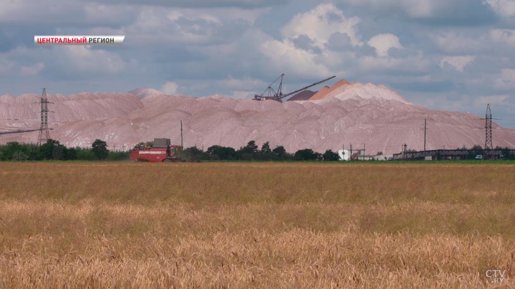 Жатва-2025 набирает обороты! Пообщались с аграриями Минской области о ходе уборочной -2
