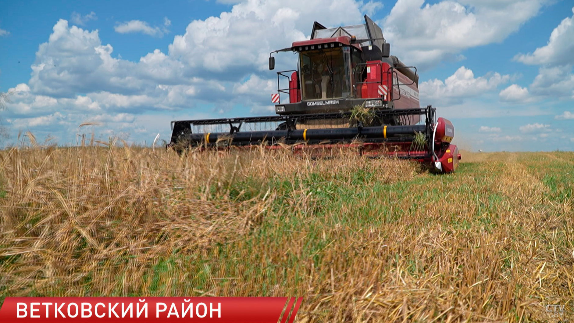 В Брестской и Гомельской областях убрано более половины площадей озимого ячменя-8