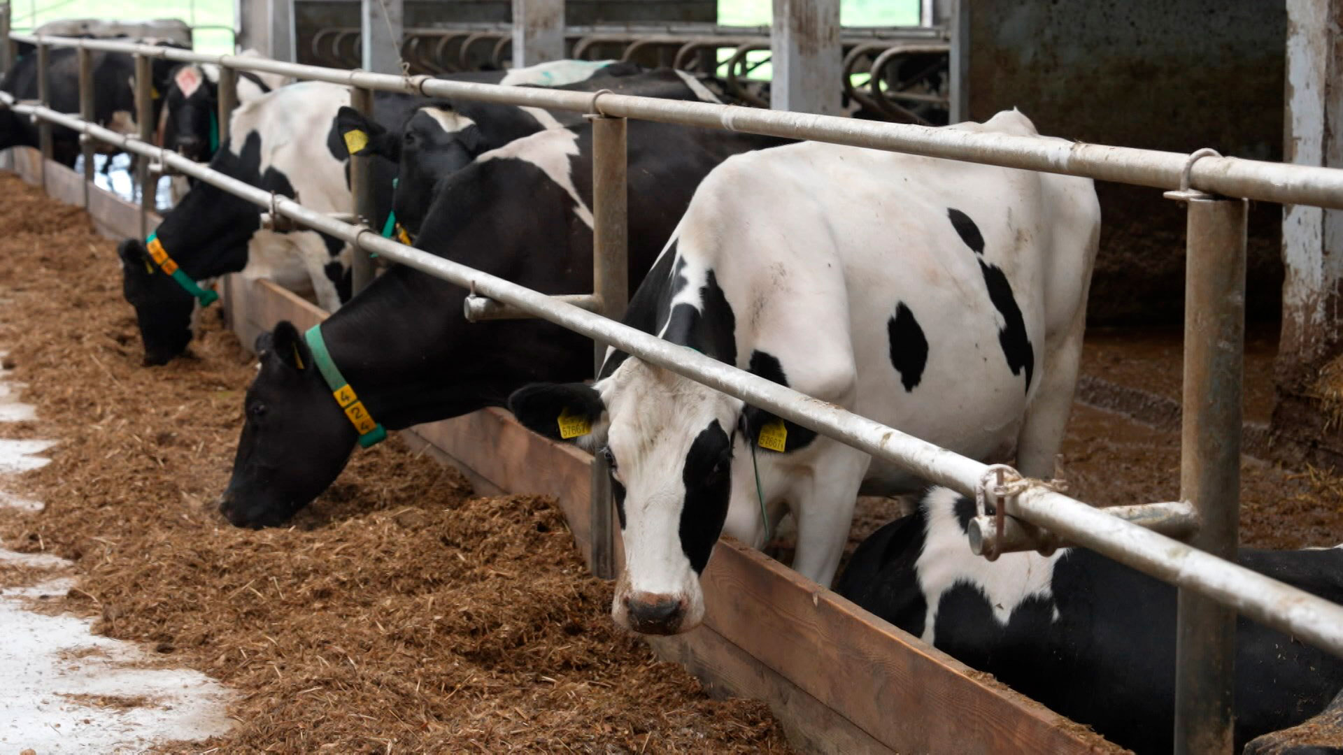 В Беларуси усилили контроль за охраной труда в сфере АПК В Беларуси усилили контроль за охраной труда в сфере АПК