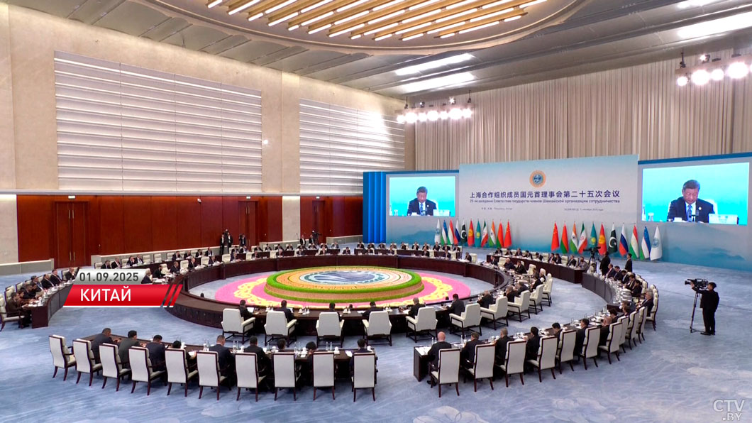 Беларусь может получить новые технологии – Лукашенко провёл переговоры с китайским бизнесом -4