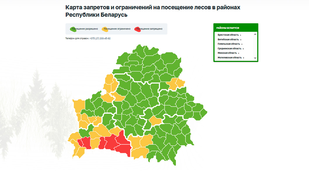 Запреты на посещение лесов действуют в шести районах Беларуси