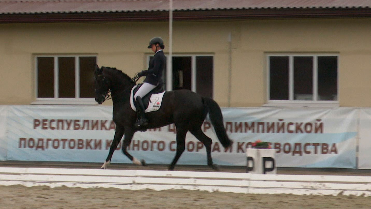 Чемпионат Беларуси по выездке стартовал в Ратомке