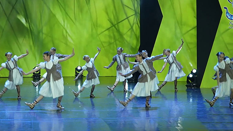 В Витебске определили победителей Международного танцевального проекта Dream Dance Fest
