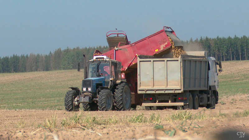 В Брестской области завершили сев озимых на зерно-2