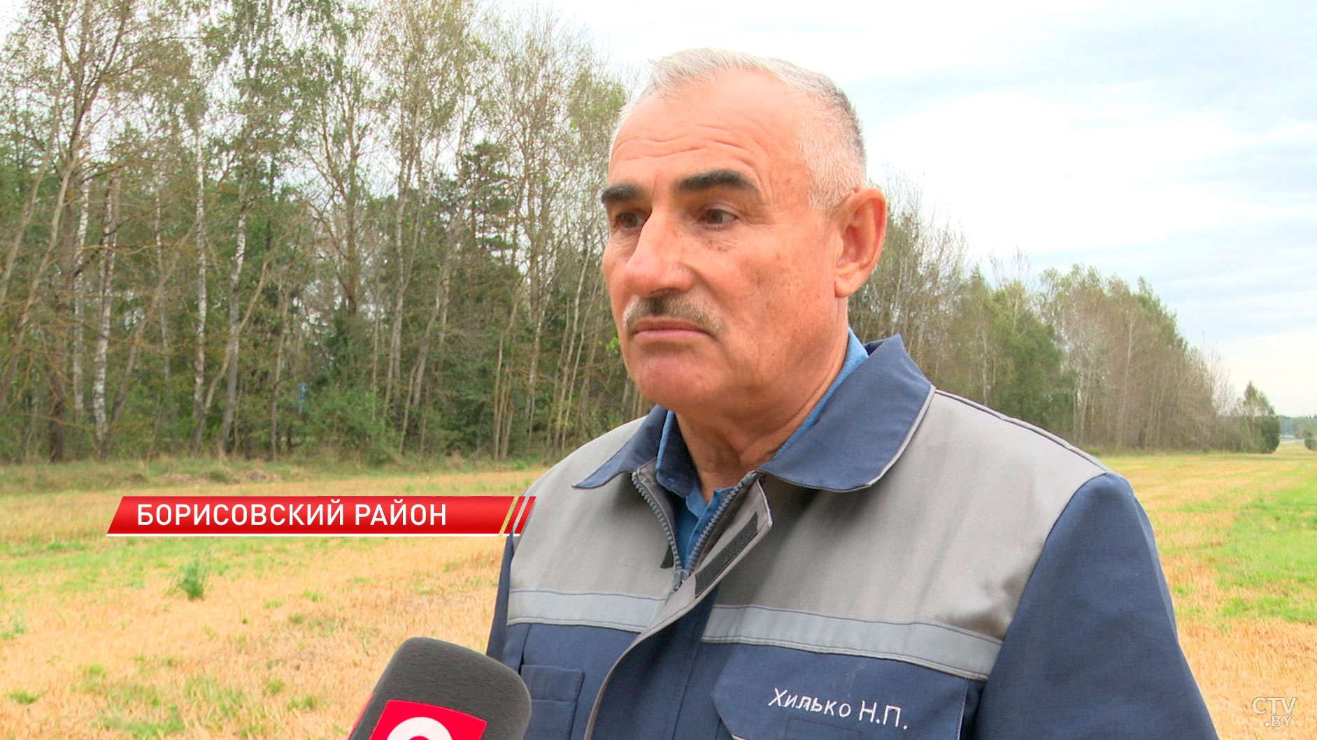 Первый урожай экспериментального сорта пшеницы получили в Борисовском районе-4