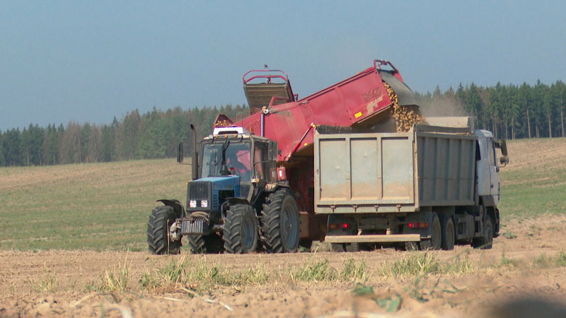 В Брестской области завершили сев озимых на зерно
