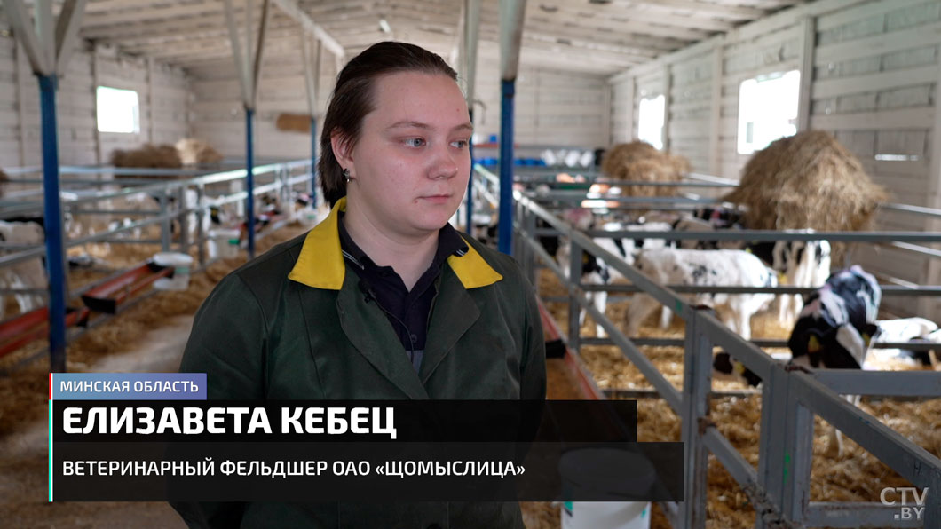 Профессию выбирали сердцем. Молодые ветеринары рассказали, каково это – работать с животными-6