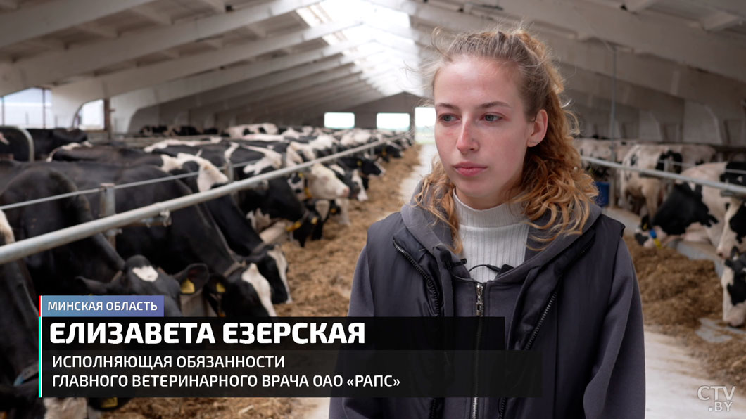 Профессию выбирали сердцем. Молодые ветеринары рассказали, каково это – работать с животными-10