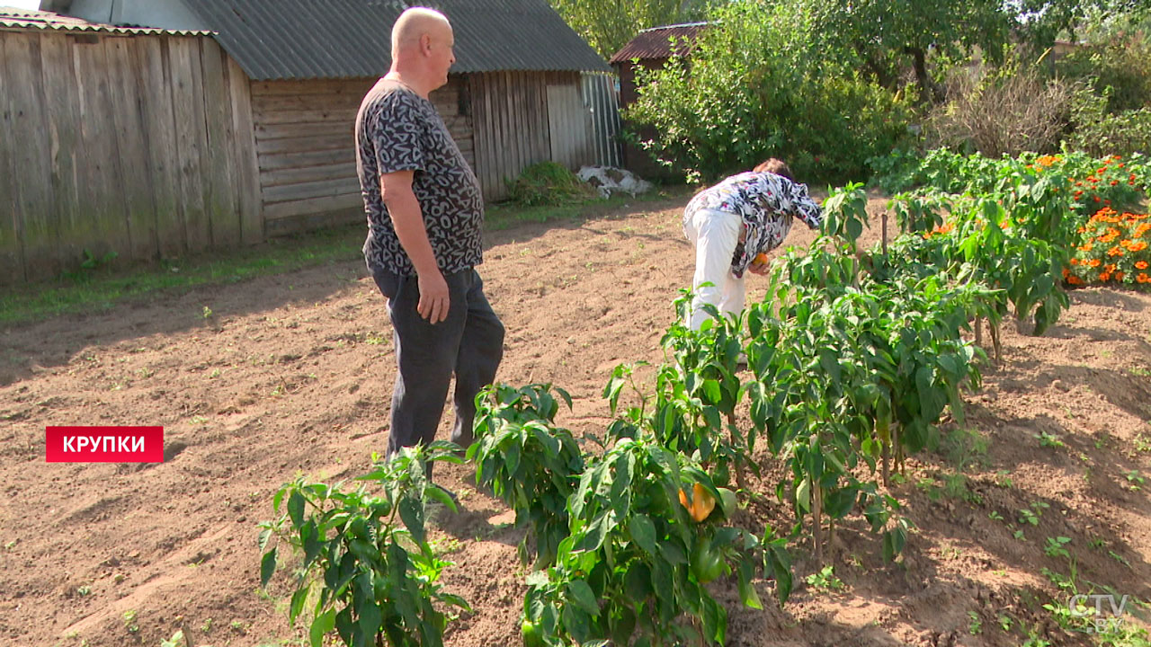 В Крупском районе выбирают лучшее ветеранское подворье – конкурсанты поделились творческими идеями-2