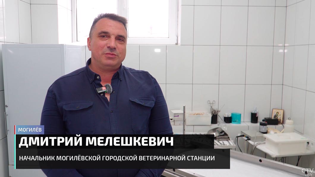 Кладбища домашних животных запрещены в Беларуси. Узнали, как похоронить питомца законно-8