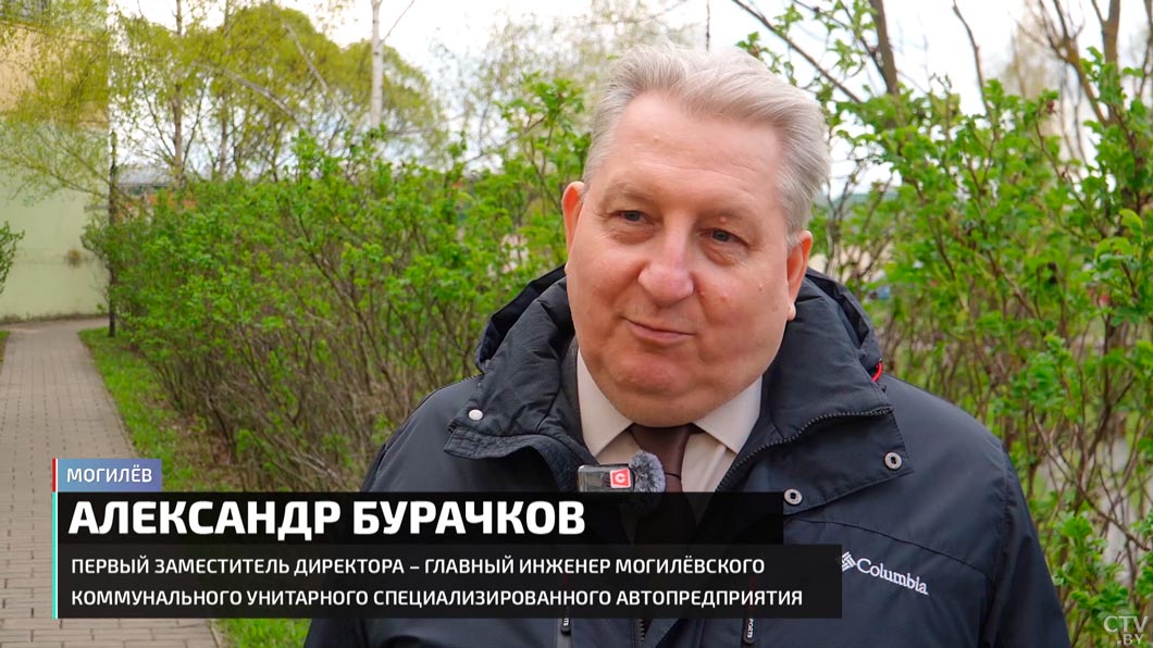 Кладбища домашних животных запрещены в Беларуси. Узнали, как похоронить питомца законно-10