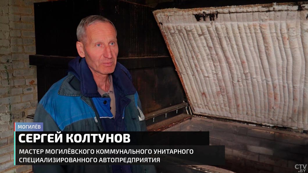 Кладбища домашних животных запрещены в Беларуси. Узнали, как похоронить питомца законно-14