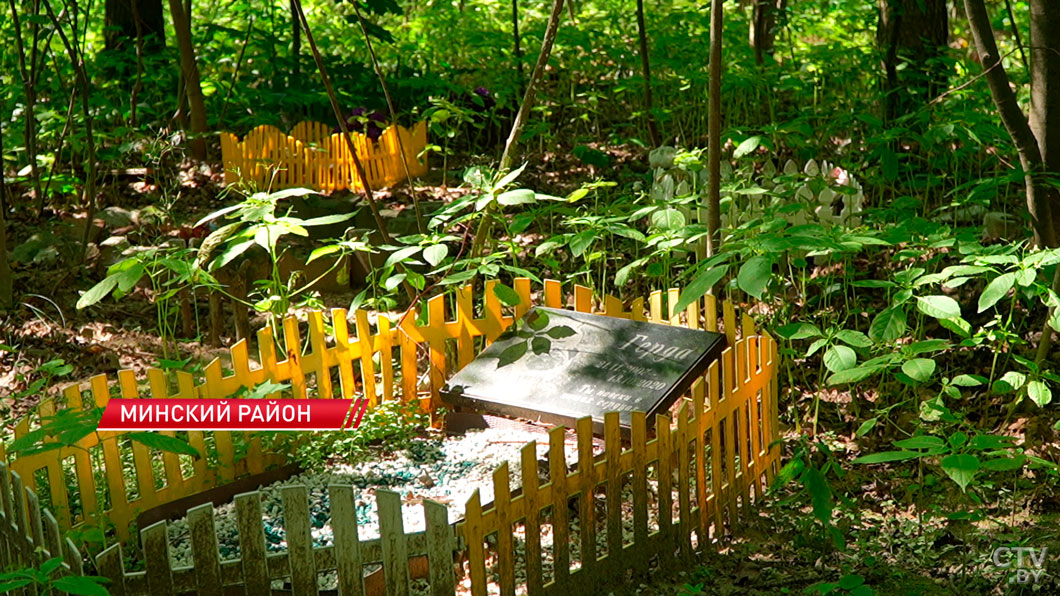 Как и где в Беларуси хоронить животное? Рассказываем про законные способы-2