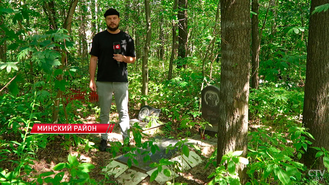 Как и где в Беларуси хоронить животное? Рассказываем про законные способы-4