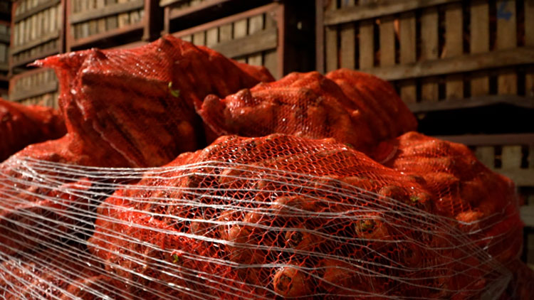 Реформа стабфондов: белорусам обещают фиксированные цены на борщевой набор