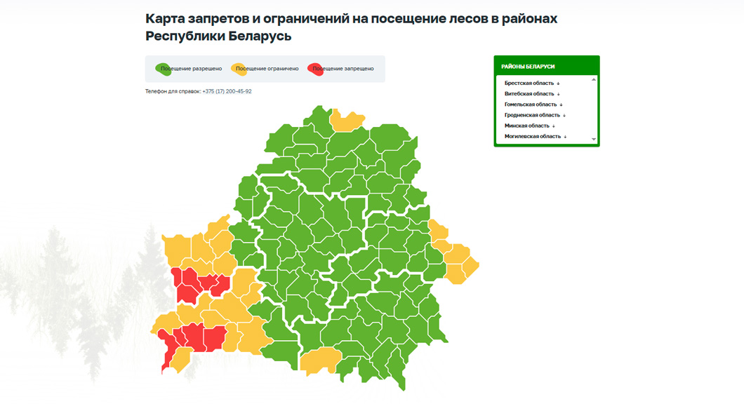 Запреты на посещение лесов действуют в 9 районах Беларуси