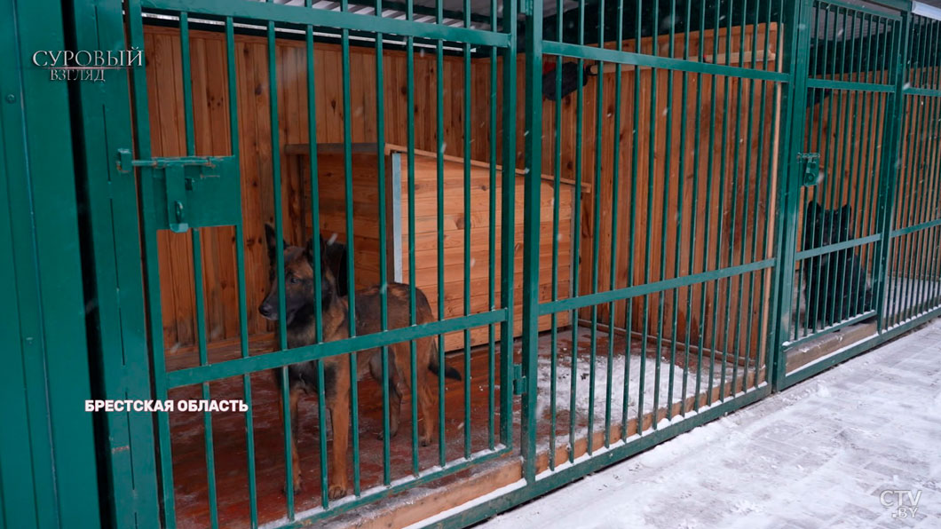 Вместо игристого – компот. Как встречают Новый год на заставе, где служил Лукашенко-9