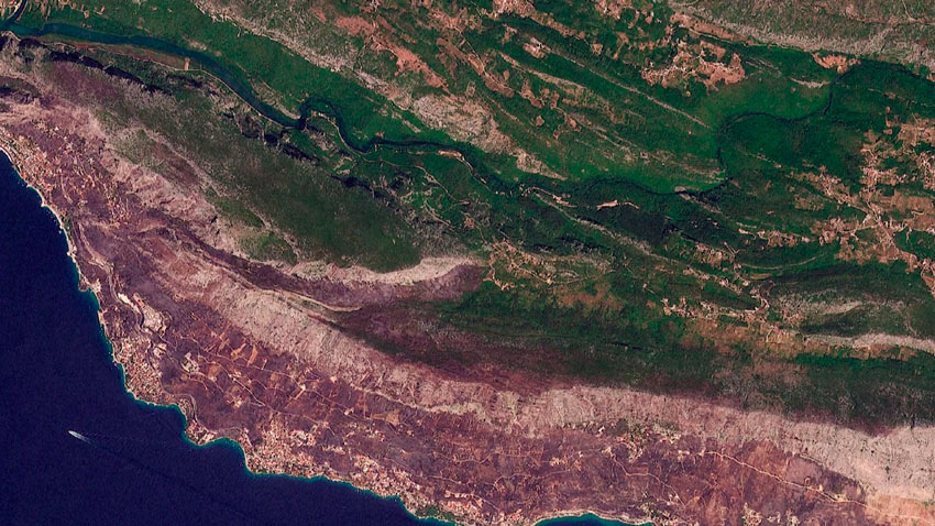 40 млрд евро убытков в год! Что ждет Европу в связи с засухой? 