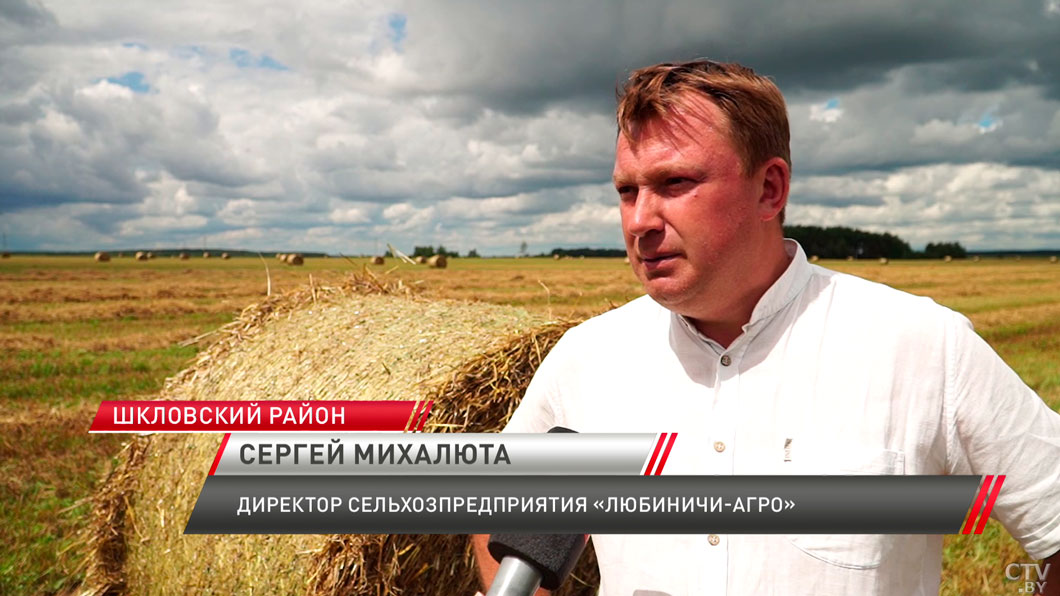 Самая важная уборочная для Шклова – как ведут работы в образцовом агрокластере Беларуси?-6