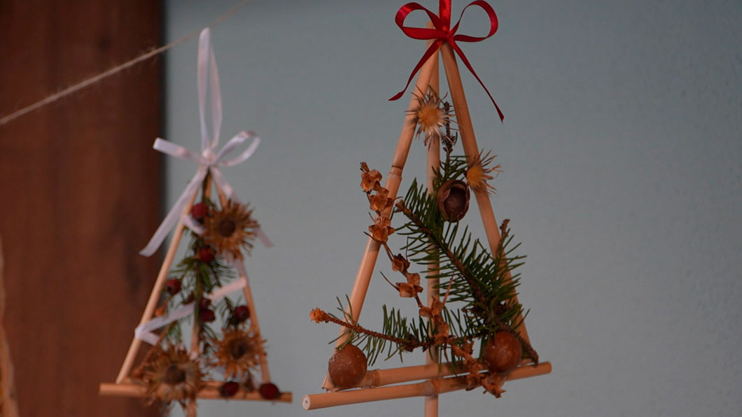 В Центральном ботаническом саду НАН Беларуси организовали уникальный практикум «Экоёлки» В Центральном ботаническом саду НАН Беларуси организовали уникальный практикум «Экоёлки»