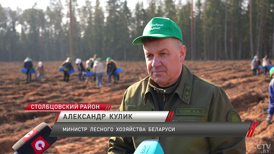 Представители Совета Республики приняли участие в экологической акции «Лес! Добро! Порядок!»-6