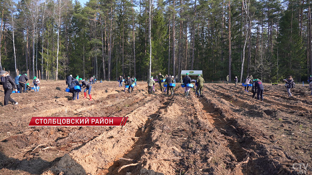 Представители Совета Республики приняли участие в экологической акции «Лес! Добро! Порядок!»-2