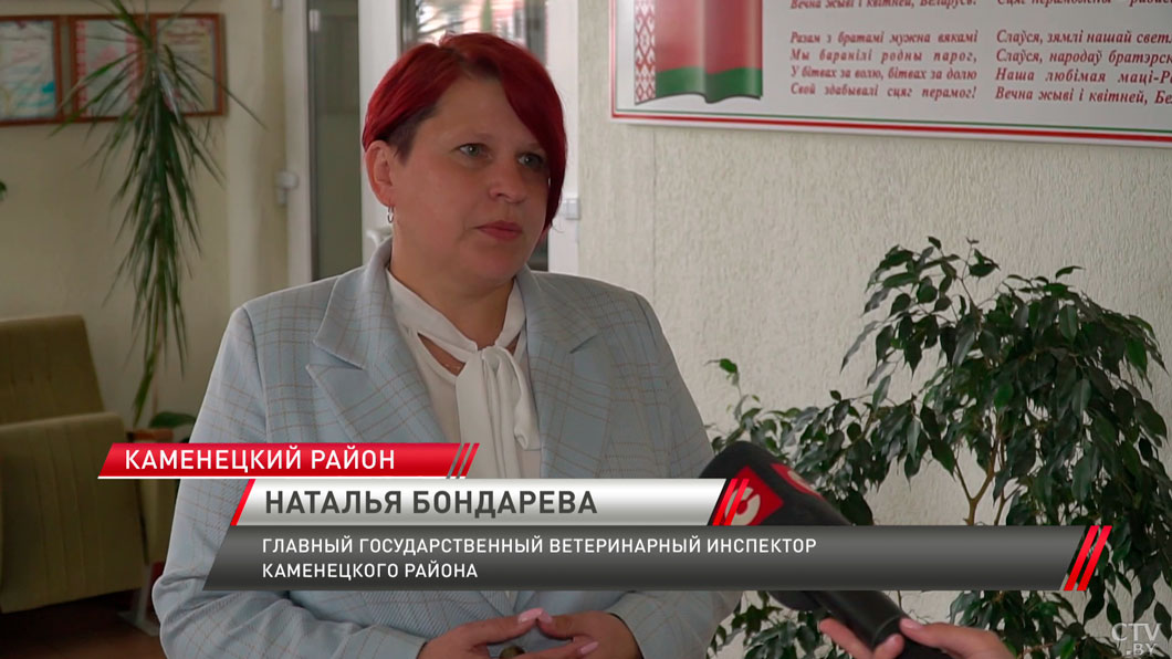 Оштрафовали и посадили – в одном из хозяйств Брестской области почти год скрывали массовую гибель скота-10