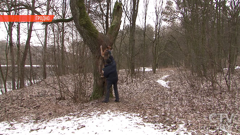 Переворот на перекладине, отжимание на кулаках: пенсионер из Гродно поражает спортивными успехами -9