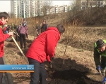 Минск: Школьники Московского района и сотрудники ГАИ начали посадку аллеи безопасности по улице Есенина