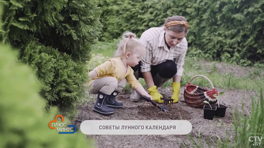 Лунный календарь дачника на конец мая. Когда лучше заняться посадками и обработкой растений?-1
