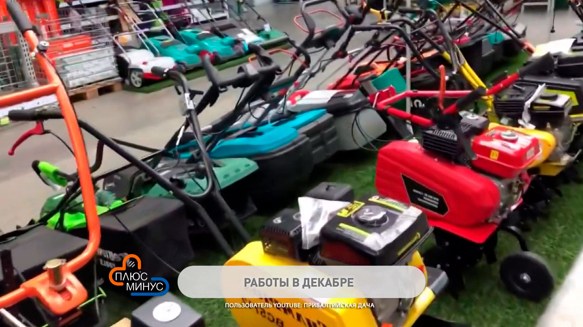 Питомники уже предлагают растения-новинки. Чем заняться садоводу в конце декабря?-1