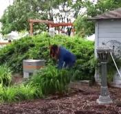 Что нужно сделать в своём огороде до конца весны? Список важных работ