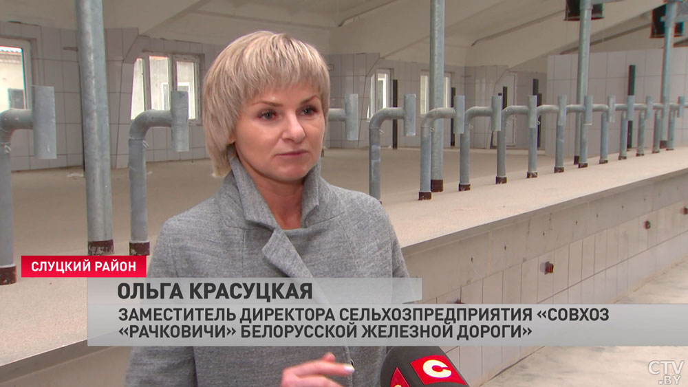 «Делаешь качественно, и зарплата выше будет». Работники сельхозотрасли рассказывают о своём труде-7