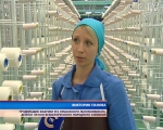 Виктория Панова – прядильщик Оршанского льнокомбината и делегат V Всебелорусского народного собрания