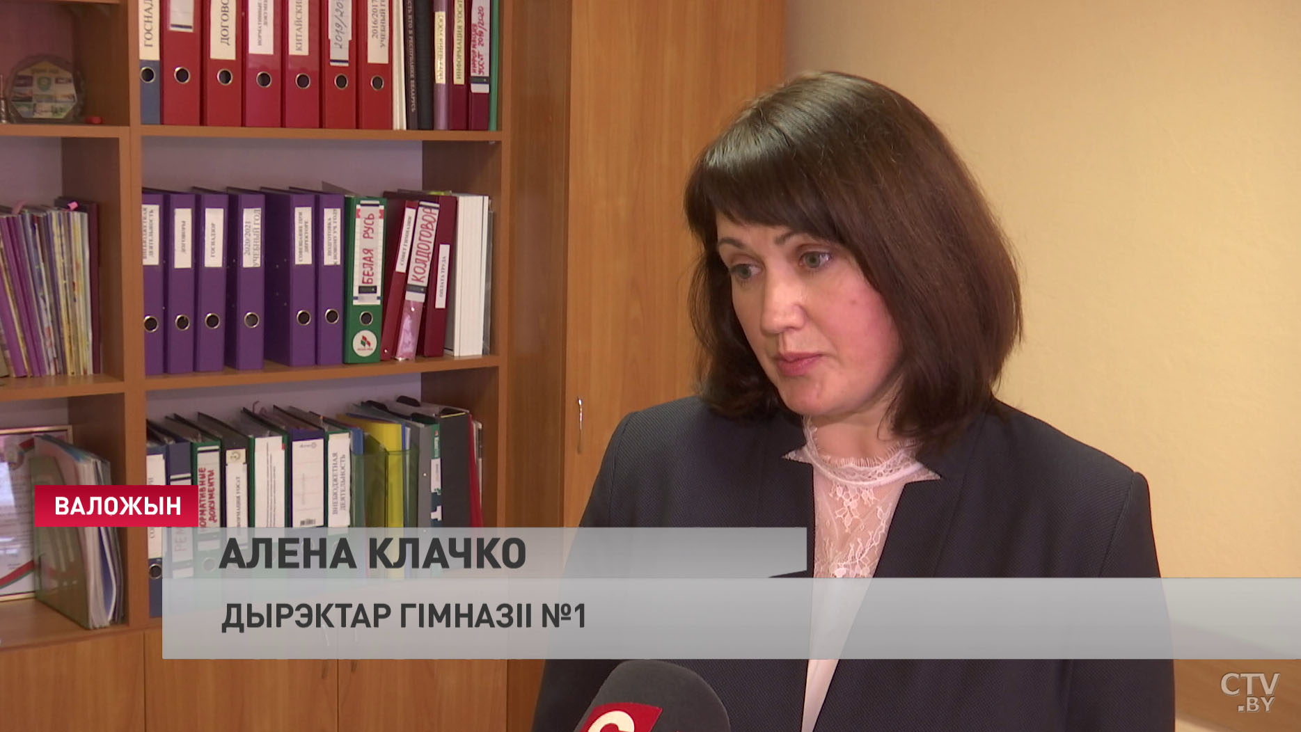 Делегат ВНС об образовании: актуальным является вопрос формирования метапредметных компетенций-4