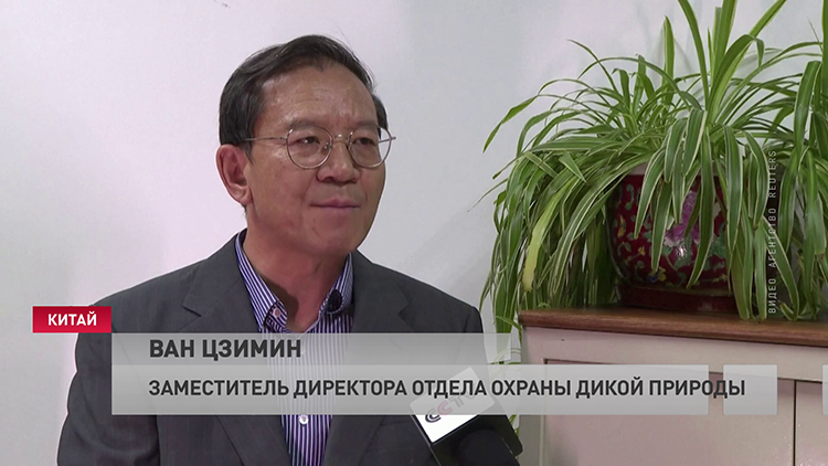 «Исчезающие виды находятся под эффективной защитой». День биоразнообразия отметили в Китае-4