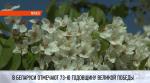 8 мая в парке Победы выступит «Хор Турецкого»