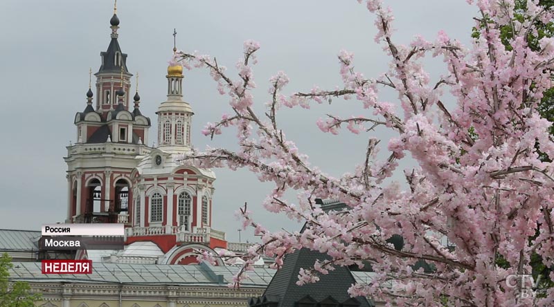 Акция «Бессмертный полк»,  встреча боевых товарищей у Большого театра: как в Москве отпразднуют День Победы? 