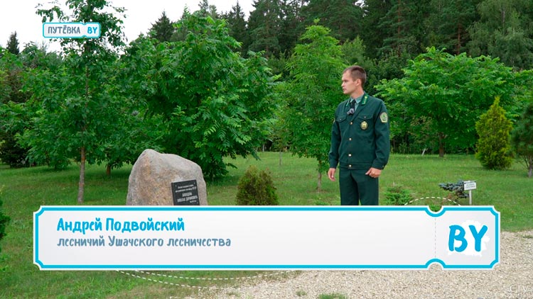 Купальский дед расскажет, как найти папараць-кветку. Что необычного можно увидеть в ушачском дендропарке?-1 Купальский дед расскажет, как найти папараць-кветку. Что необычного можно увидеть в ушачском дендропарке?-1