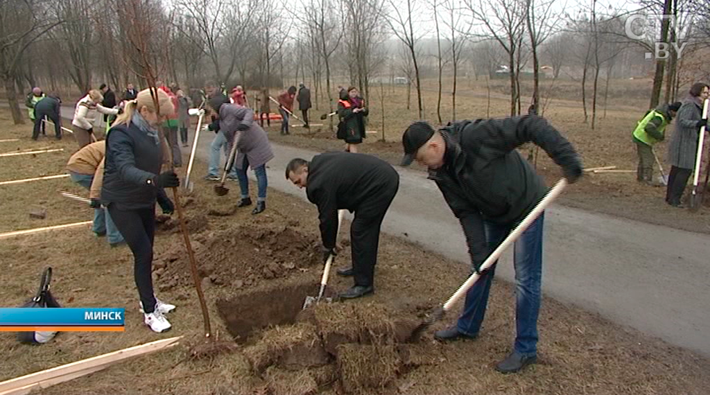 Депутаты посадили аллею в парке Тивали в честь 100-летия Мингорсовета-1