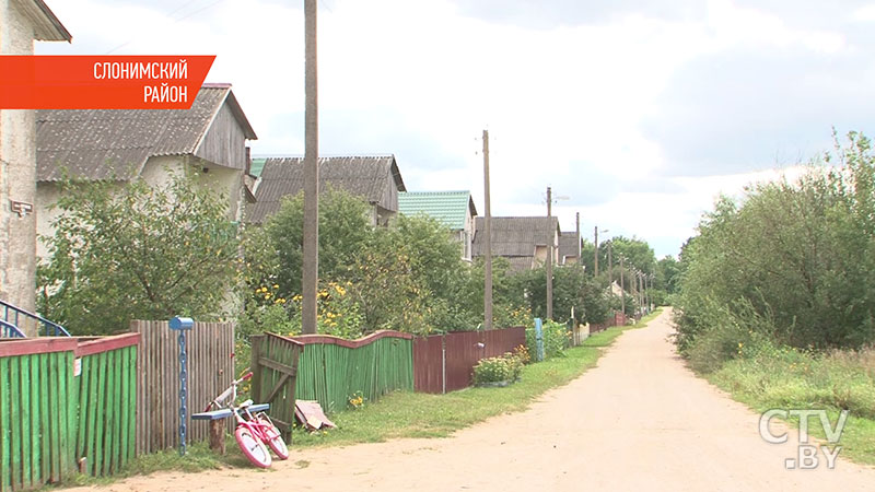 «​​​​​Очень страшно за себя и детей». В Слонимском районе чупакабра повадился убивать домашних животных-23