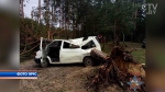 СК проводит проверку по факту гибели шестиклассницы во время урагана в Вилейском районе