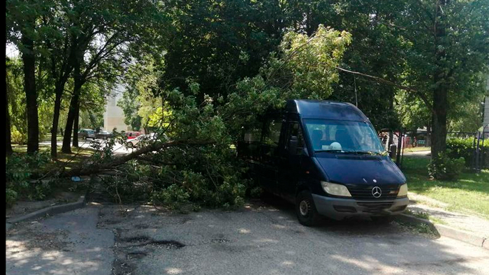 В Гродно на фоне непогоды семь раз требовалась помощь МЧС-1