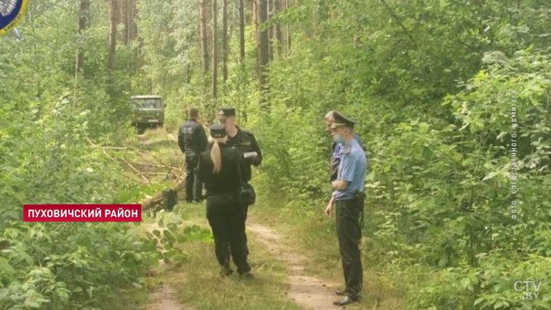 В лесу на 15-летнюю девочку упало спиленное дерево. Подросток погиб-1