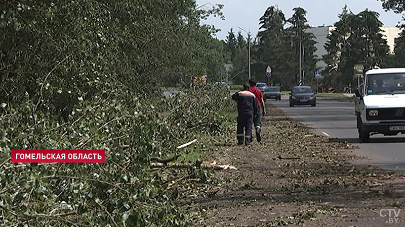 В 48 населённых пунктах Гомельской области  нарушилось электроснабжение из-за сильного ветра -1