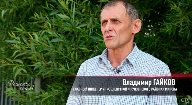 «Во что они превратили наш двор?» Жители Минска возмущаются из-за вырубки деревьев-19