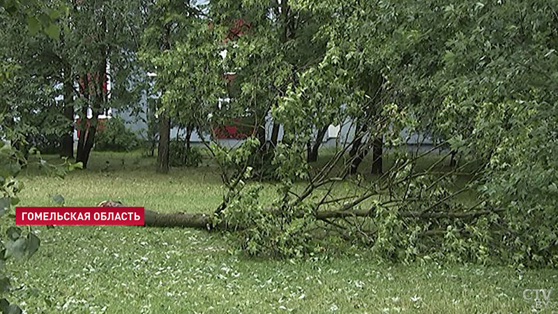 В 48 населённых пунктах Гомельской области  нарушилось электроснабжение из-за сильного ветра -4