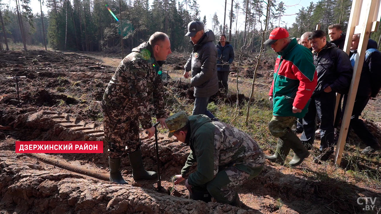 Александр Вольфович: если каждый посадит хотя бы одно дерево, это уже будет ощутимый вклад в повышение нашего благосостояния-1