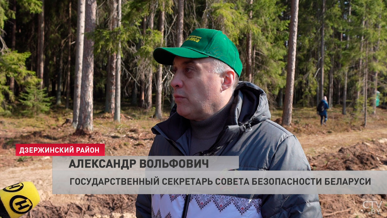 Александр Вольфович: если каждый посадит хотя бы одно дерево, это уже будет ощутимый вклад в повышение нашего благосостояния-4